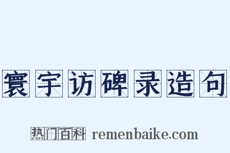 寰宇访碑录造句是什么意思的图片